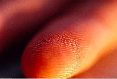 《王国保卫战：传奇》6月上线Steam 支持简繁体中文